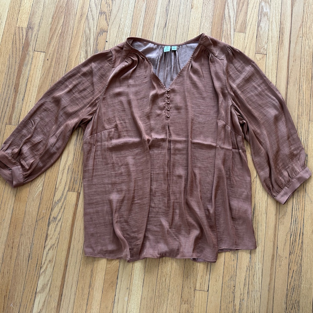 Joie Brown Women's Top